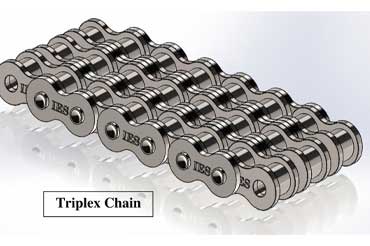 Triplex Chain